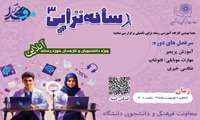 کارگاه مجازی رسانه‌تراپی تکمیلی در بستر اسکای روم برگزار می‌گردد.