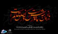 اَلسَّلامُ عَلَیْکَ یا اَبا عَبْدِ اللهِ وَعَلَی الْاَرْواحِ الَّتی حَلَّتْ بِفِنائِکَ ، عَلَیْکَ مِنّی سَلامُ اللهِ اَبَداً ما بَقیتُ وَبَقِیَ اللَّیْلُ وَ النَّهارُ اَلسَّلامُ عَلَی الْحُسَیْن وَ عَلی عَلَیِ بْن الْحُسَین وَ عَلی اَوْلادِ الْحْسَیْن وَ عَلی اَصحابِ الْحُسَین