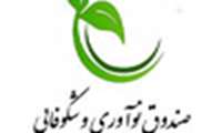 برنامه ریزی صندوق نوآوری برای افزایش کسب وکارهای داخلی