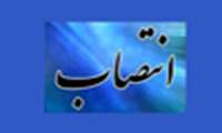 رئیس شورای نظارت بر انجمن‌های ورزشی دانشگاه علوم پزشکی شهیدبهشتی منصوب شد
